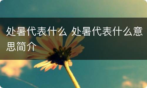 处暑代表什么 处暑代表什么意思简介
