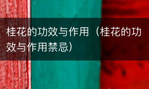 桂花的功效与作用（桂花的功效与作用禁忌）