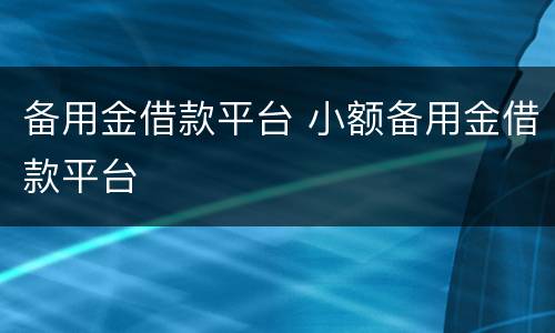 备用金借款平台 小额备用金借款平台