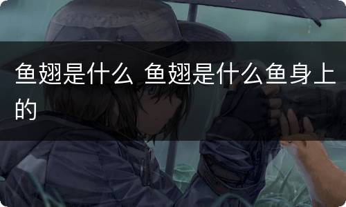 鱼翅是什么 鱼翅是什么鱼身上的