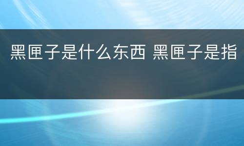 黑匣子是什么东西 黑匣子是指