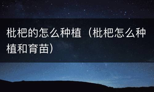 枇杷的怎么种植（枇杷怎么种植和育苗）