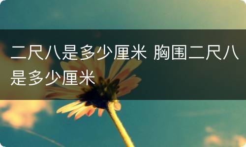 二尺八是多少厘米 胸围二尺八是多少厘米
