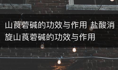 山莨菪碱的功效与作用 盐酸消旋山莨菪碱的功效与作用