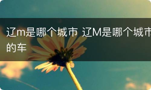 辽m是哪个城市 辽M是哪个城市的车