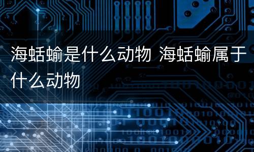 海蛞蝓是什么动物 海蛞蝓属于什么动物