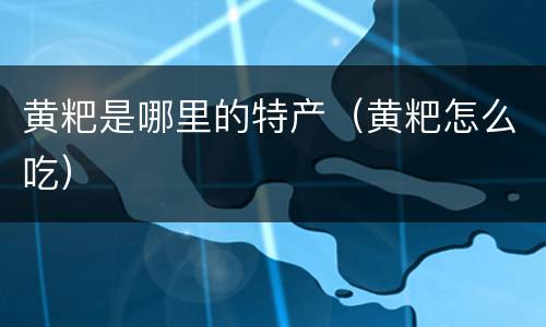 黄粑是哪里的特产（黄粑怎么吃）