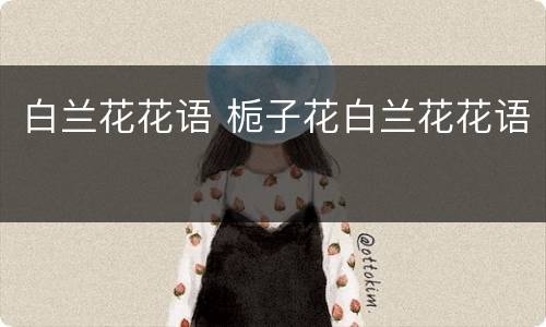 白兰花花语 栀子花白兰花花语