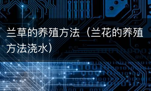 兰草的养殖方法（兰花的养殖方法浇水）