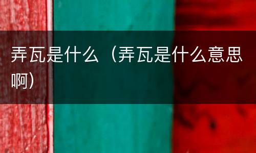 弄瓦是什么（弄瓦是什么意思啊）