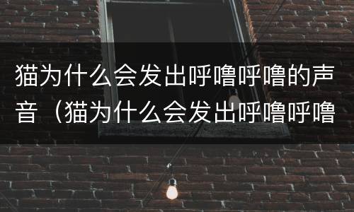 猫为什么会发出呼噜呼噜的声音（猫为什么会发出呼噜呼噜的声音怎么回事）