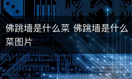 佛跳墙是什么菜 佛跳墙是什么菜图片