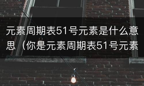 元素周期表51号元素是什么意思（你是元素周期表51号元素是什么意思）