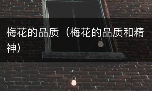 梅花的品质（梅花的品质和精神）