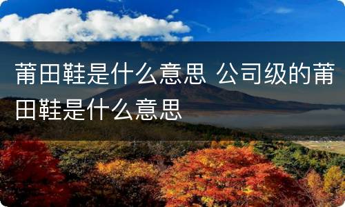莆田鞋是什么意思 公司级的莆田鞋是什么意思