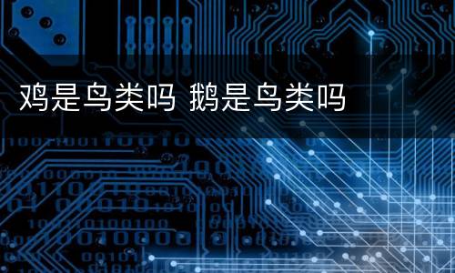 鸡是鸟类吗 鹅是鸟类吗