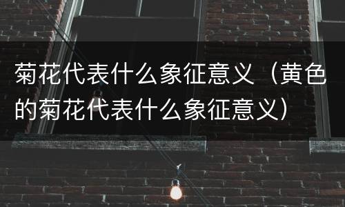 菊花代表什么象征意义（黄色的菊花代表什么象征意义）