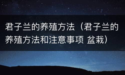 君子兰的养殖方法（君子兰的养殖方法和注意事项 盆栽）