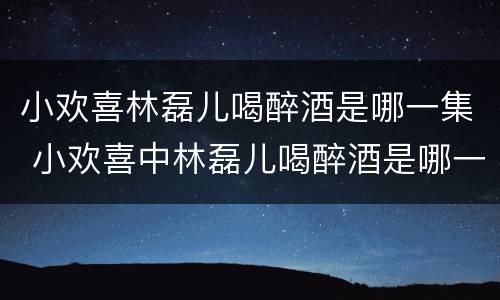 小欢喜林磊儿喝醉酒是哪一集 小欢喜中林磊儿喝醉酒是哪一集