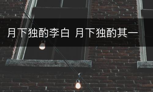 月下独酌李白 月下独酌其一