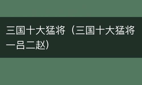 三国十大猛将（三国十大猛将一吕二赵）