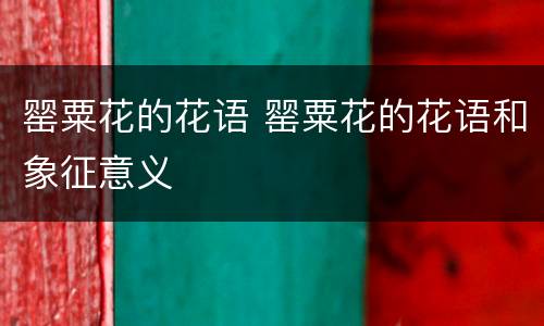 罂粟花的花语 罂粟花的花语和象征意义