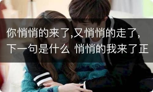 你悄悄的来了,又悄悄的走了,下一句是什么 悄悄的我来了正如我悄悄的走下一句