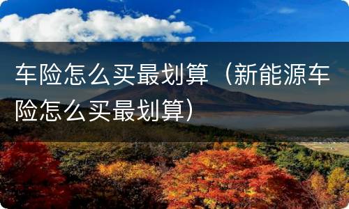 车险怎么买最划算（新能源车险怎么买最划算）
