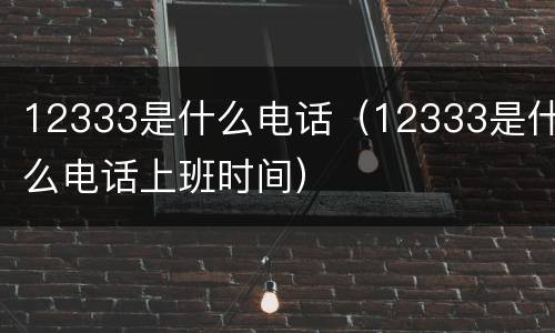 12333是什么电话（12333是什么电话上班时间）