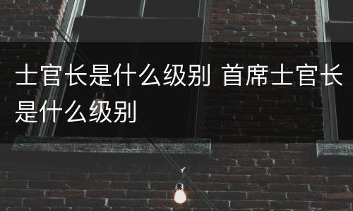 士官长是什么级别 首席士官长是什么级别