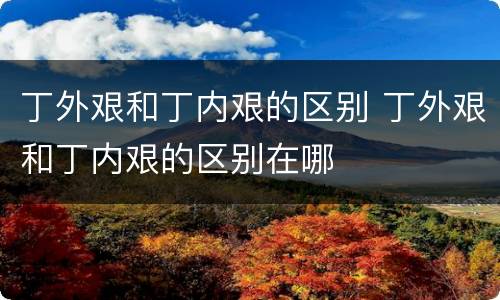 丁外艰和丁内艰的区别 丁外艰和丁内艰的区别在哪