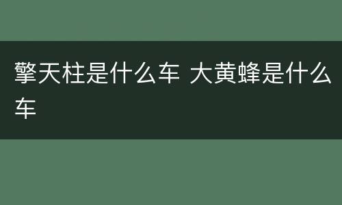 擎天柱是什么车 大黄蜂是什么车