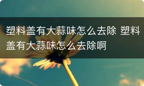塑料盖有大蒜味怎么去除 塑料盖有大蒜味怎么去除啊