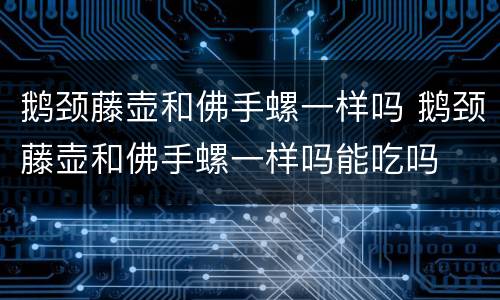 鹅颈藤壶和佛手螺一样吗 鹅颈藤壶和佛手螺一样吗能吃吗