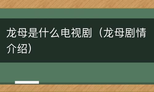 龙母是什么电视剧（龙母剧情介绍）