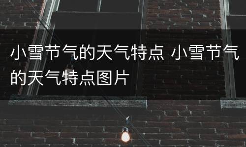 小雪节气的天气特点 小雪节气的天气特点图片