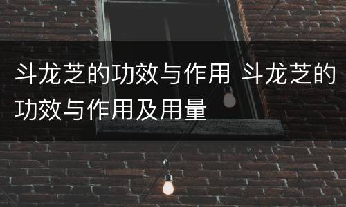 斗龙芝的功效与作用 斗龙芝的功效与作用及用量