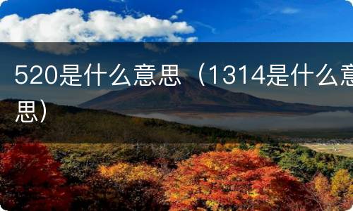 520是什么意思（1314是什么意思）