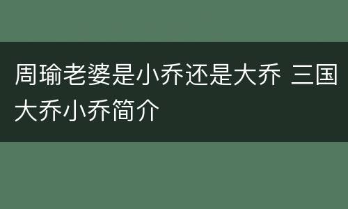 周瑜老婆是小乔还是大乔 三国大乔小乔简介