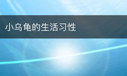 小乌龟的生活习性