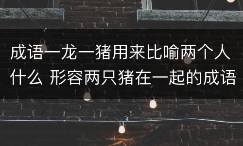 成语一龙一猪用来比喻两个人什么 形容两只猪在一起的成语