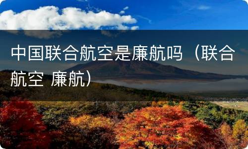 中国联合航空是廉航吗（联合航空 廉航）