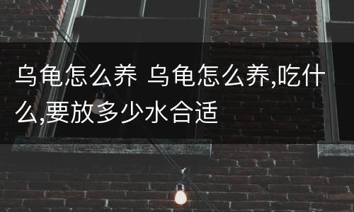 乌龟怎么养 乌龟怎么养,吃什么,要放多少水合适