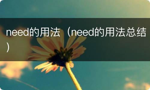 need的用法（need的用法总结）