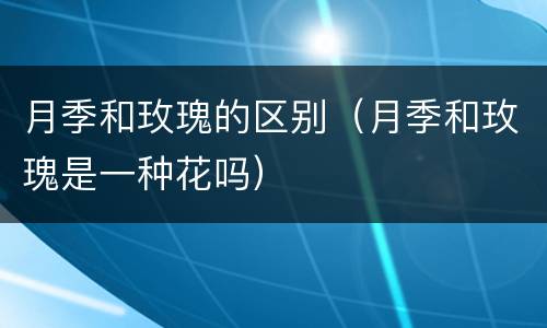 月季和玫瑰的区别（月季和玫瑰是一种花吗）