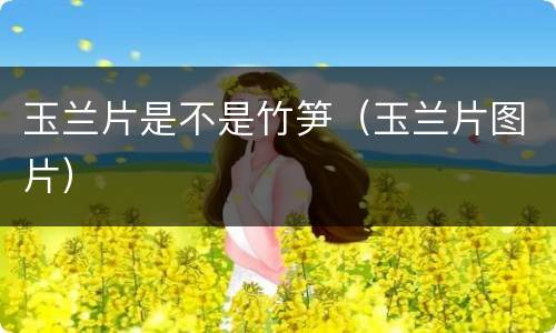 玉兰片是不是竹笋（玉兰片图片）
