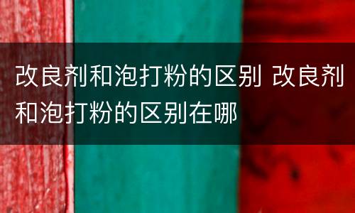 改良剂和泡打粉的区别 改良剂和泡打粉的区别在哪