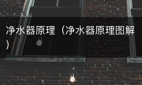 净水器原理（净水器原理图解）