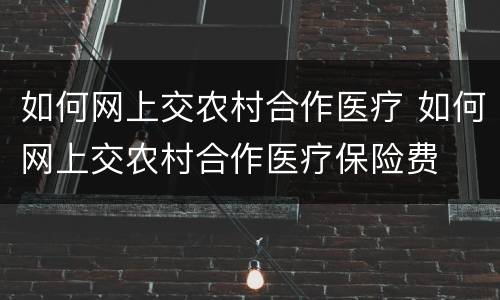 如何网上交农村合作医疗 如何网上交农村合作医疗保险费