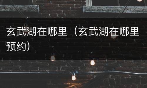 玄武湖在哪里（玄武湖在哪里预约）